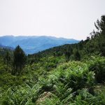 corsica tout terrain