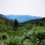 corsica tout terrain